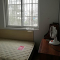 鿴ß