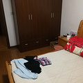 鿴ß