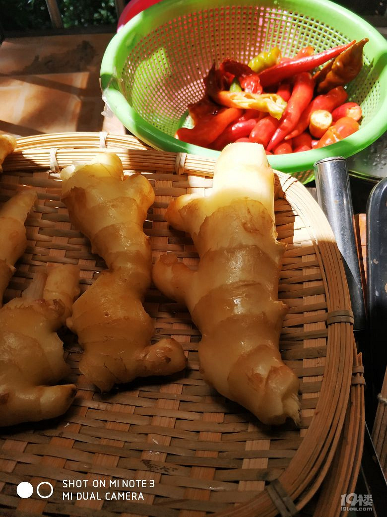 俗話說冬吃蘿卜夏吃姜