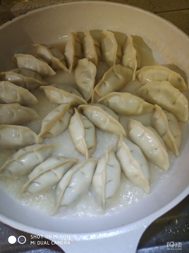 晚上還是吃煎餃吧