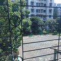 鿴ß