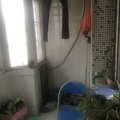 鿴ß
