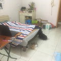 鿴ß