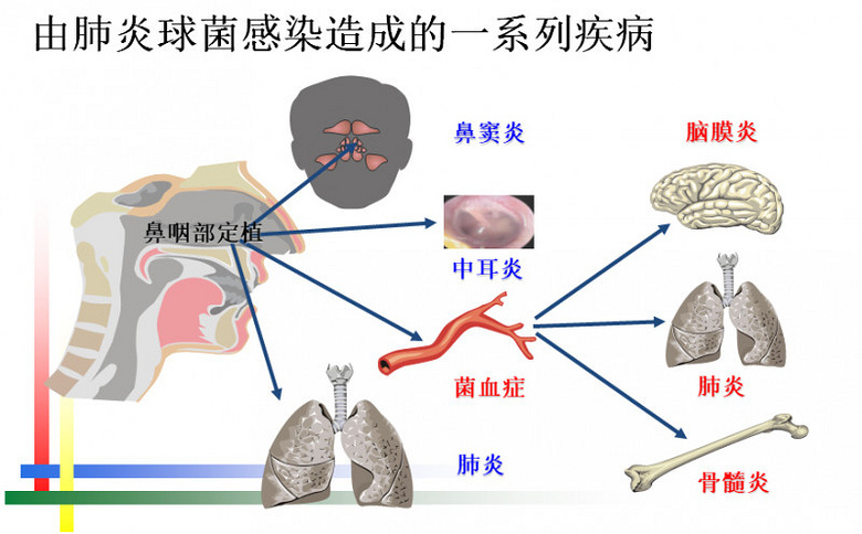 每年30000兒童因此喪命，媽媽應(yīng)該知道的頭號殺手