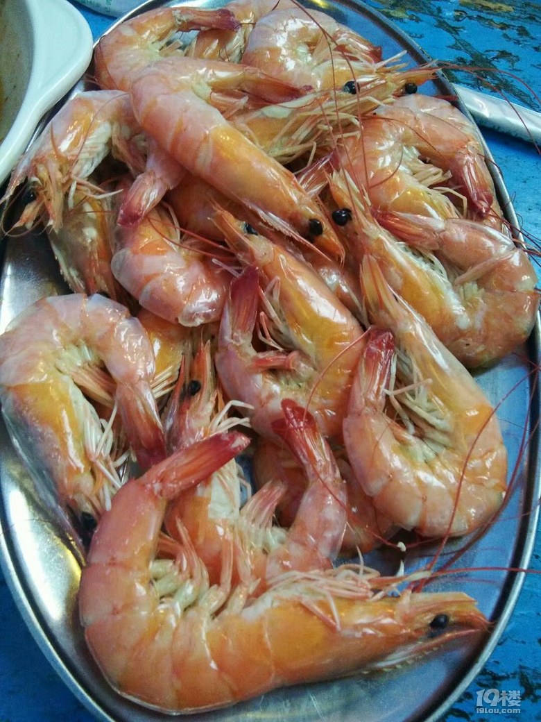【8月避暑】+北海桂林陽朔龍脊