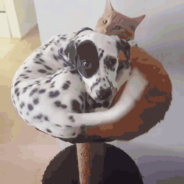 Ҽҹϲg؈ɰʺ߀оȆ