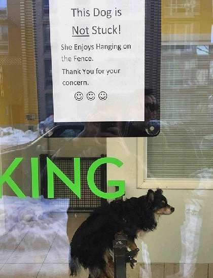 Ҽҹϲg؈ɰʺ߀оȆ