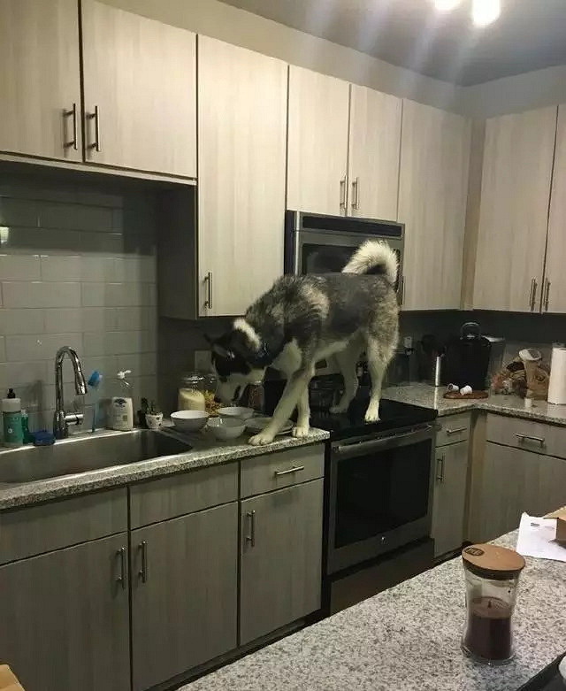Ҽҹϲg؈ɰʺ߀оȆ
