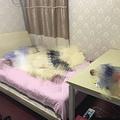鿴ß