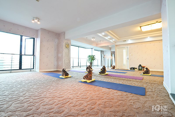 杭州瑜伽教练培训,自由人生,从成为瑜伽老师开