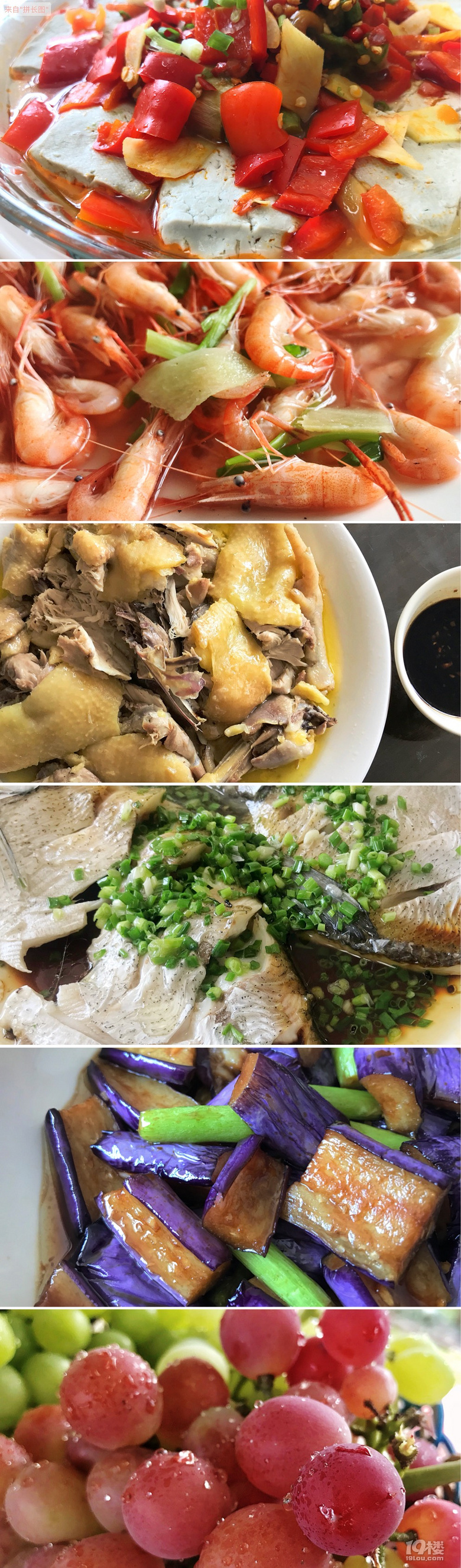 【九月餐廳】來(lái)推薦本月你吃到的好吃的餐廳吧