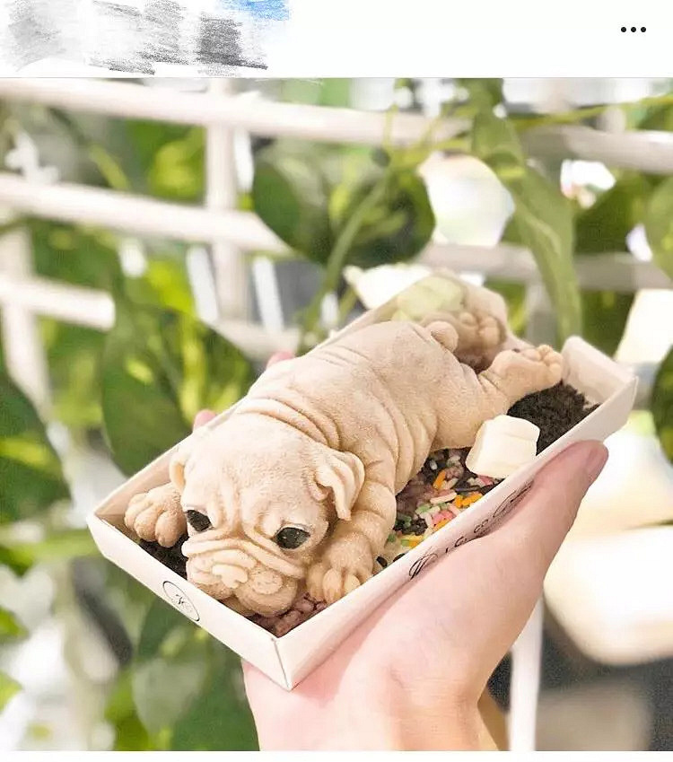 超逼真狗狗冰淇淋卖疯了,你怎么看?