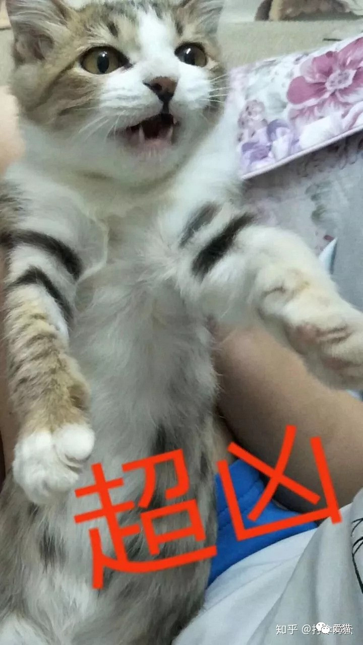 B(yng)؈F(xin)ô