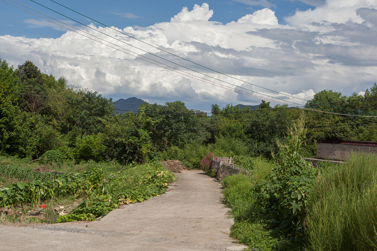 远野物语|立秋:在别处遇见童年