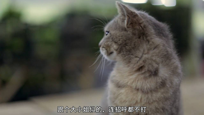 没点自制力的,不要精通!这部核弹级猫片,是国光驱维修从打开到入门图片