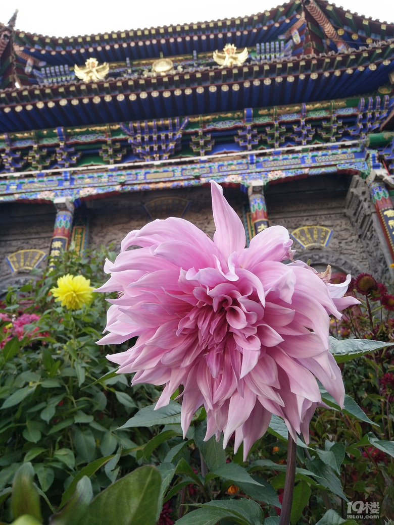 國(guó)慶暢游西北大環(huán)線