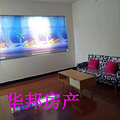 鿴ß