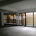 鿴ß