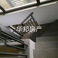 鿴ß