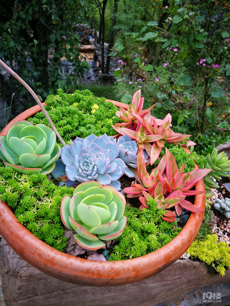 杭州飞成都自驾游色达