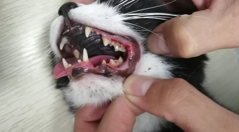 o؈ȫڰ(du)һNÓ