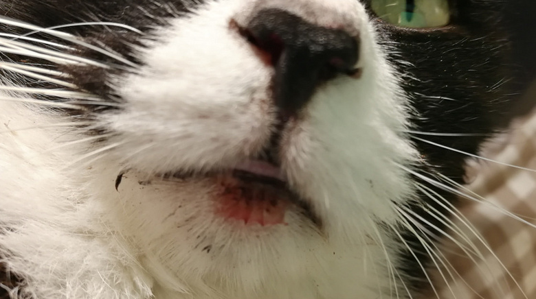 o؈ȫڰ(du)һNÓ