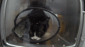 o؈ȫڰ(du)һNÓ