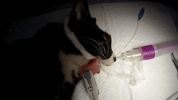 o؈ȫڰ(du)һNÓ