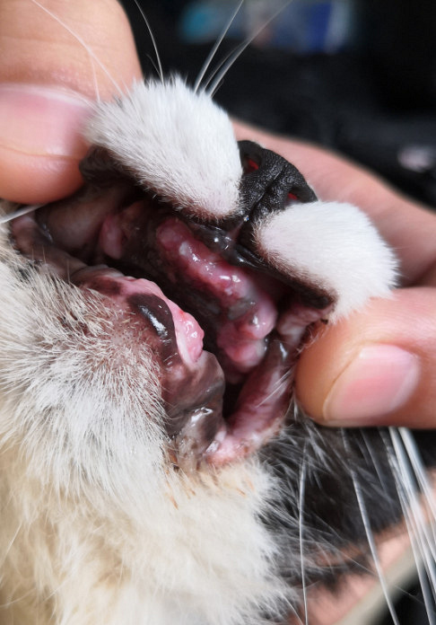 o؈ȫڰ(du)һNÓ