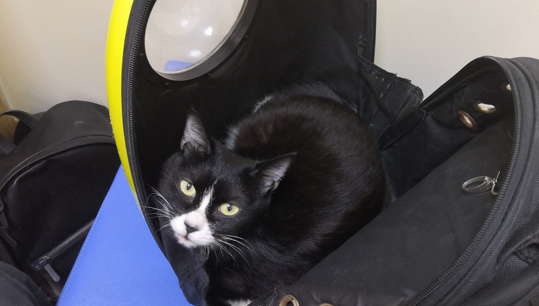 o؈ȫڰ(du)һNÓ