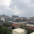 鿴ß