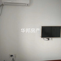 鿴ß