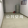 鿴ß