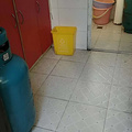 鿴ß