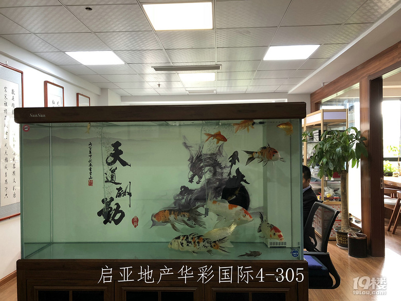 鿴ԭD