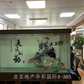 鿴ß