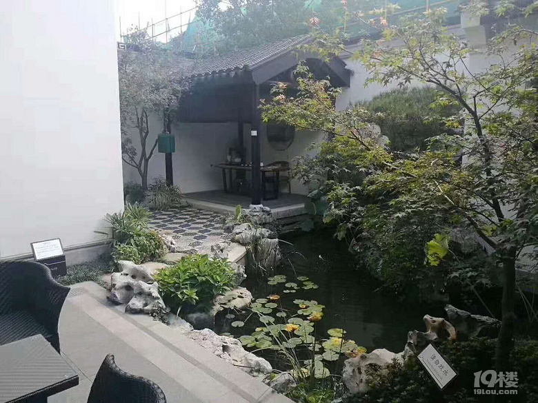 鿴ԭD