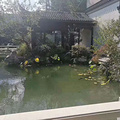 鿴ß