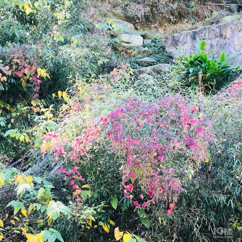 mϽɽĕr(sh)(ji)