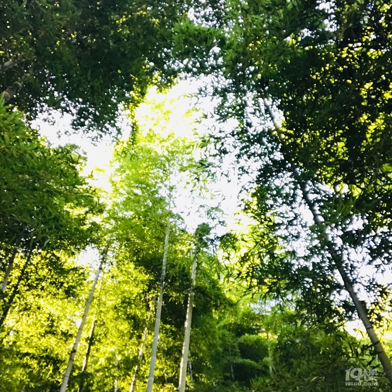 mϽΣɽĕr(sh)(ji)