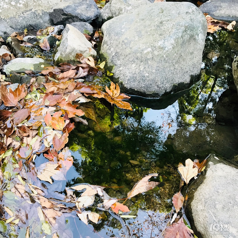 죬mϽɽĕr(sh)(ji)