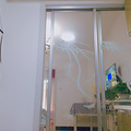 鿴ß