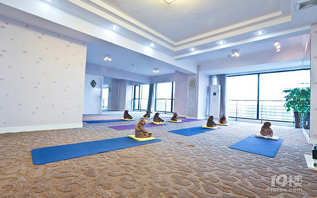 杭州瑜伽教练培训班,如何快速成为瑜伽达人?