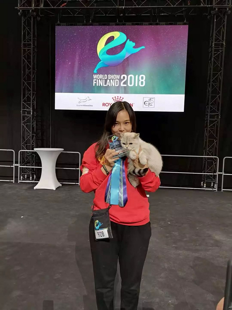 世界最靓猫咪来袭!中国之队芬兰2018 FIFe世界