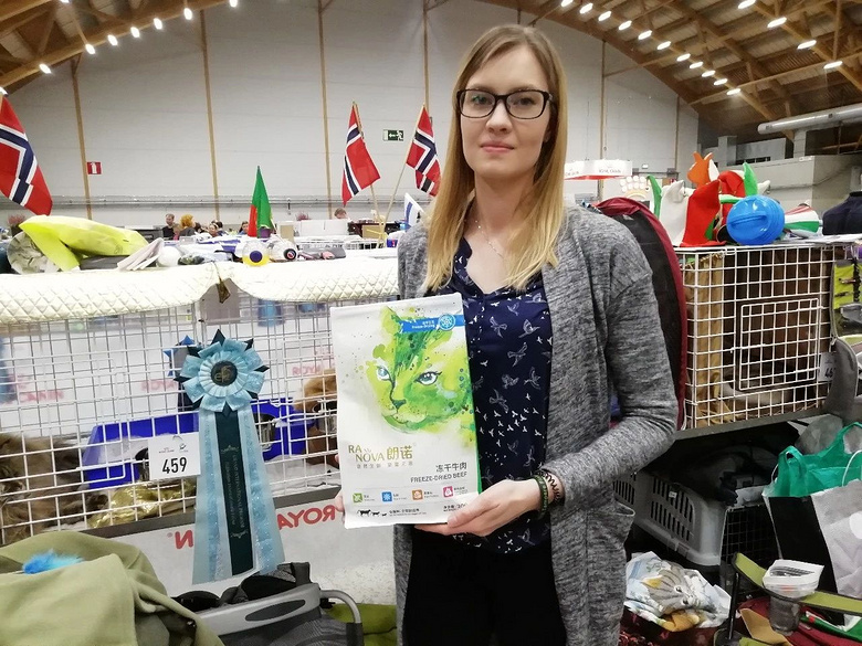 世界最靓猫咪来袭!中国之队芬兰2018 FIFe世界