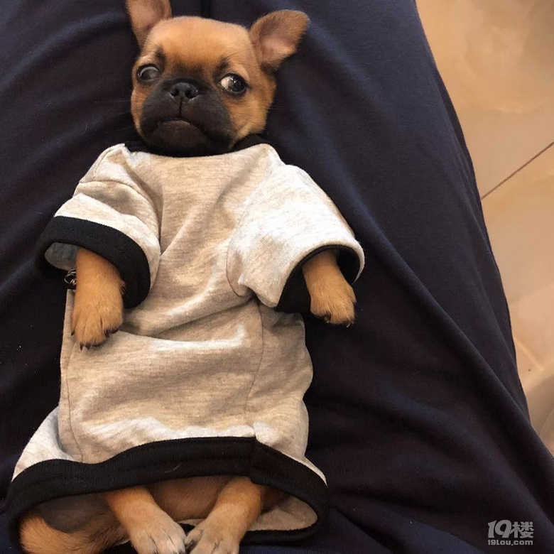 天空一声巨响 毛头小子奎斯闪亮登场