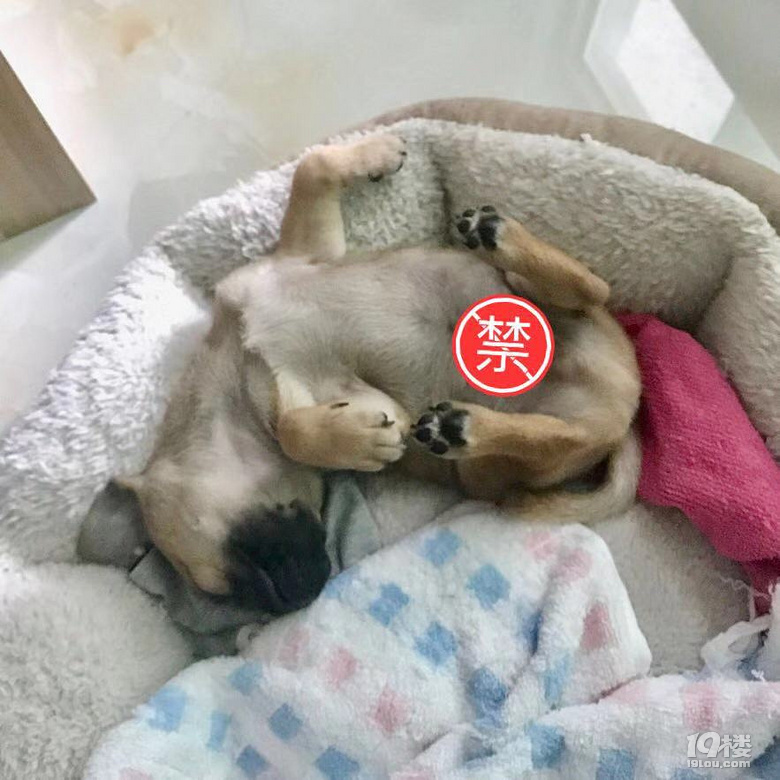 天空一声巨响 毛头小子奎斯闪亮登场