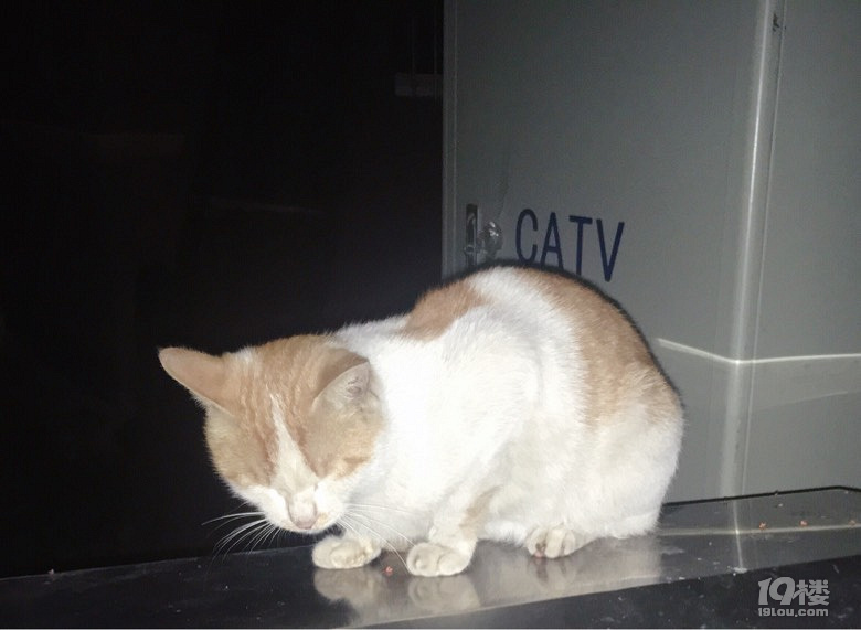 ҪҪB(yng)@ֻ؈