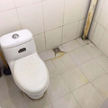 鿴ß