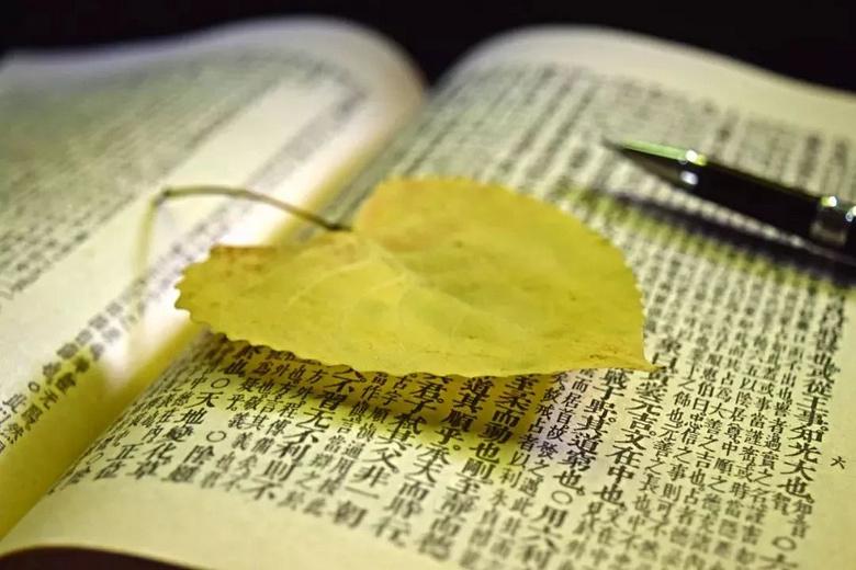 【特别关注】如何把党的领导融入人才培养全过